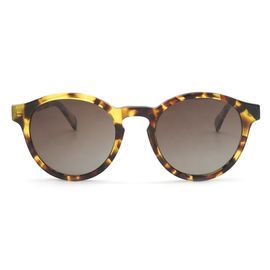 Las gafas de sol polarizadas las gafas de sol redondas del acetato de la tortuga de la moda para el ojo protegen proveedor